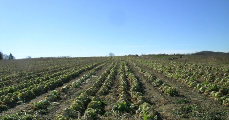 Congressman Lawler introduces bill to improve soil health on farms
