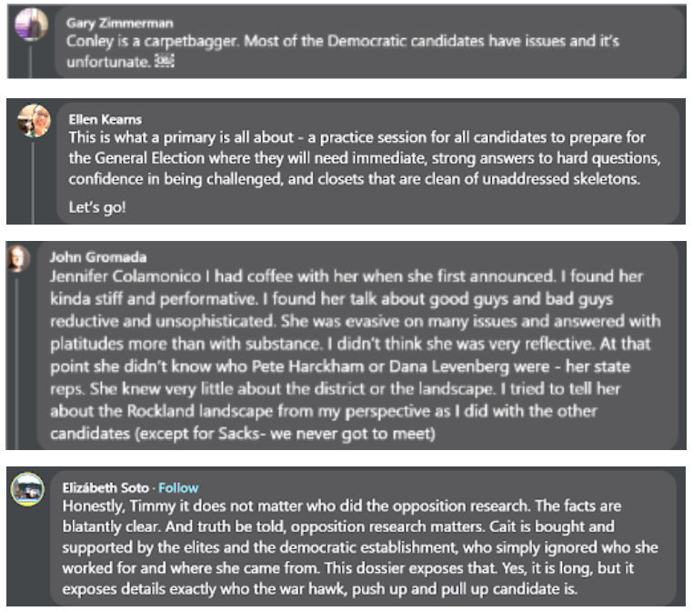 Hudson Valley Democrat commentary on Cait Conley
